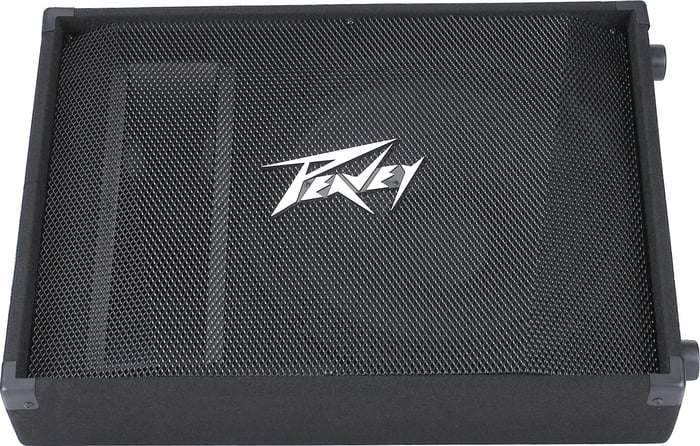 Peavey PV 15M 15" 2-Way Floor Monitor, 500W