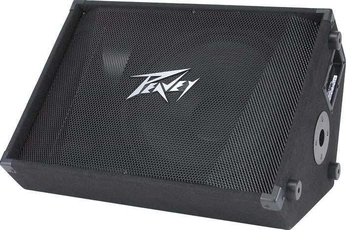 Peavey PV 15M 15" 2-Way Floor Monitor, 500W