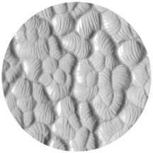 Rosco 33617 Image Glass Gobo, Hammered