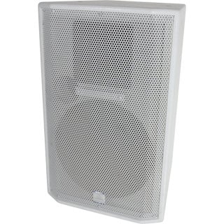 Grundorf Corp AC-12-3F 12" Altar Clarity Series 2-Way Speaker with Three 2x2 Fly Points AC-12-3F