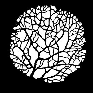 Apollo Design Technology MS-3559 Steel Gobo, Tree Budding Thin MS-3559