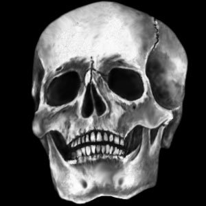 Apollo Design Technology SR-0052 Glass Gobo, Skull SR-0052