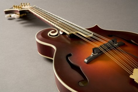 Fishman PRO-M30-0MA M-300 Nashville Series Archtop Mandolin Pickup Mandolin Pickup