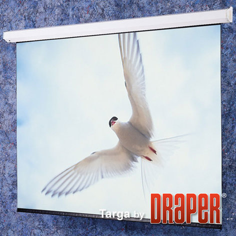 Draper Shade and Screen 116007 Targa Motorized Screen, 7'x9', Matte White 116007