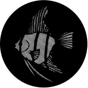 Rosco Laboratories 77612 Angelfish Meshed Gobo 77612