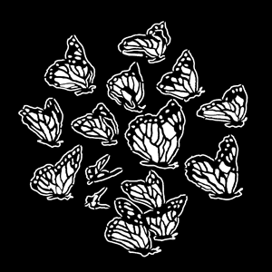 Apollo Design Technology MS-1180 Steel Gobo, Butterfly Group MS-1180