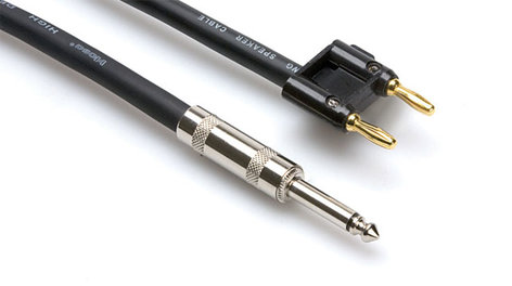 Hosa SKJ-603BN 3 ft. 1/4" to Banana Plug Cable SKJ603BN