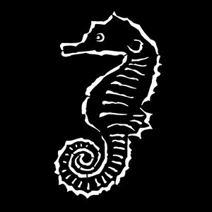 Apollo Design Technology MS-7006 Steel Gobo, Sea Horse MS-7006