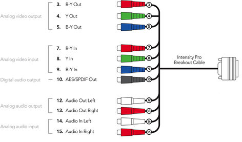 Blackmagic Design CABLE-BINTSPRO Breakout Cable For Intensity Pro