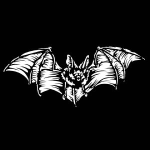 Apollo Design Technology MS-3044 Steel Gobo, Scary Bat