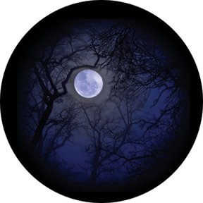 Rosco 86710 Glass Gobo, Howling Moon