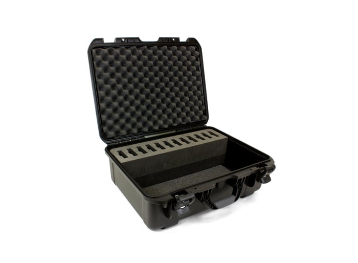 Williams AV CCS 042 DW Large Heavy-Duty Carrying Case For 12 Digi-Wave DLT / DLR Units