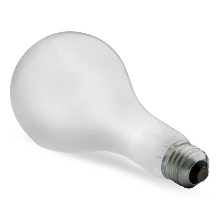 Westcott 550 500-Watt Photoflood Lamp 550