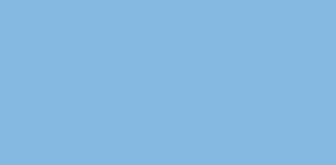 Rosco Laboratories E-Colour #202 21"x24" Sheet of Half CT Blue Tungsten Conversion Filter E-COLOUR-202-SHEET