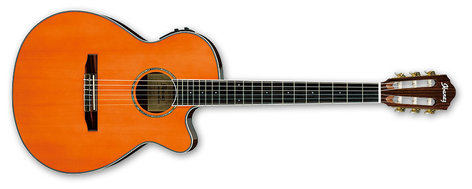 Ibanez AEG10NII AEG Series Classical Acoustic/Electric Guitar AEG10NII