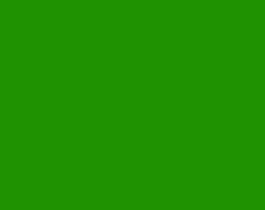 Rosco Laboratories Roscolux #2004 20"x24" Sheet of Vittorio Storaro Green Color Filter 2004