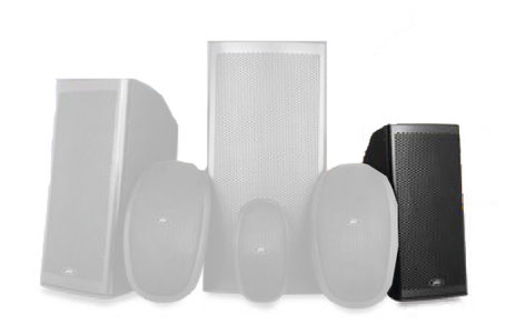 Peavey 108M 8" Elements Series 2-Way Molded Enclosure Outdoor Speaker 108M