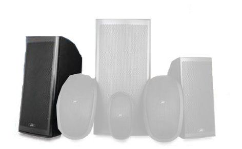 Peavey 110M 10" Elements Series 2-Way Molded Enclosure Outdoor Speaker 110M