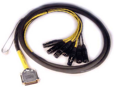Avid DigiSnake AES/EBU Digital Snake Cable - 4'''' 8-Channel DB25 Male To XLR (4 Male + 4 Female), 4' Length