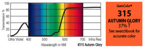 GAM 315-GAM 20" X 24" GamColor Autumn Glory Gel Filter