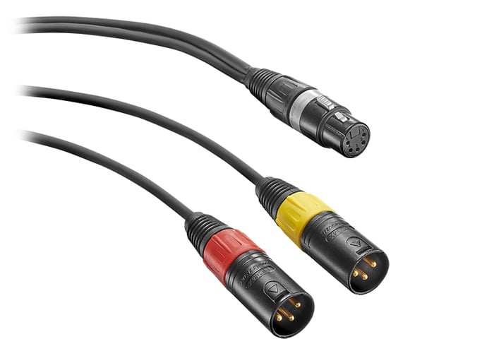 Neumann AC 20 1m 5-pin Female XLR To 2x 3-pin Male XLR Y-Cable Adapter