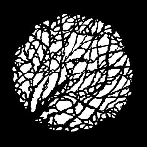 Apollo Design Technology MS-3567 Budding Branches Steel Gobo MS-3567