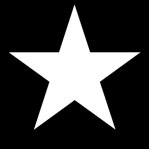 Apollo Design Technology MS-2210 5 Point Star Steel Gobo MS-2210