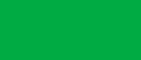 Rosco Laboratories E-Colour 124 21" x 24" Sheet of Dark Green Filter E-COLOUR-124-SHEET