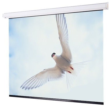 Draper Shade and Screen 116369L 12 ft 16:10 Targa Electric Projection Screen with Matte White Surface and Low Voltage Motor 116369L