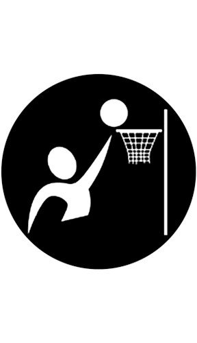 Rosco Laboratories 78502 "Basketball" Pattern Gobo 78502