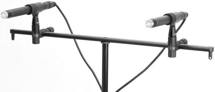 DPA Microphones 3506A d:dicate 4006A A-B Stereo Microphone Kit 3506A