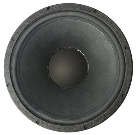 EAW-Eastern Acoustic Wrks 804031 12" Woofer for SM200 804031