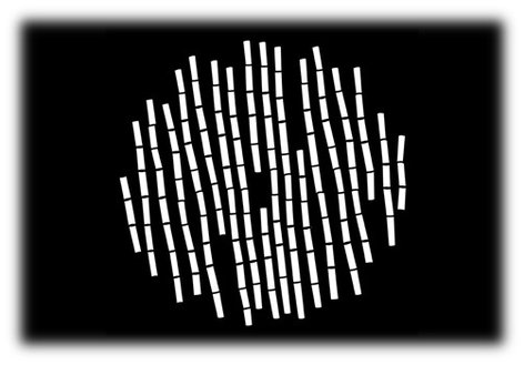 Apollo Design Technology MS-2555 Steel Gobo in "Bamboo Stems" Design MS-2555