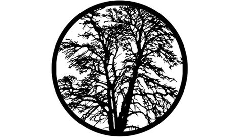 Rosco Laboratories 78438 "Bare Tree" Pattern Steel Gobo 78438