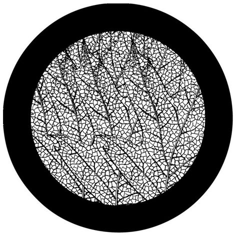 Rosco 78597 Steel Gobo, Leaf Veins