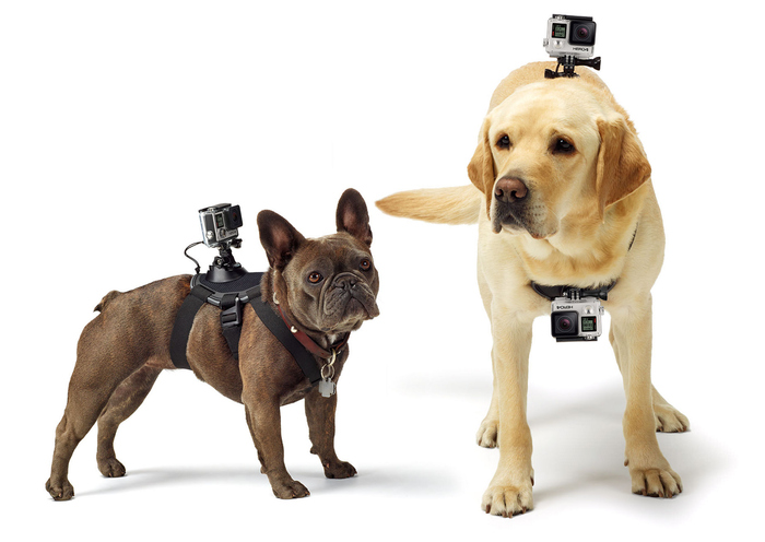 GoPro ADOGM-001 Fetch Dog Harness Camera Mount For GoPro