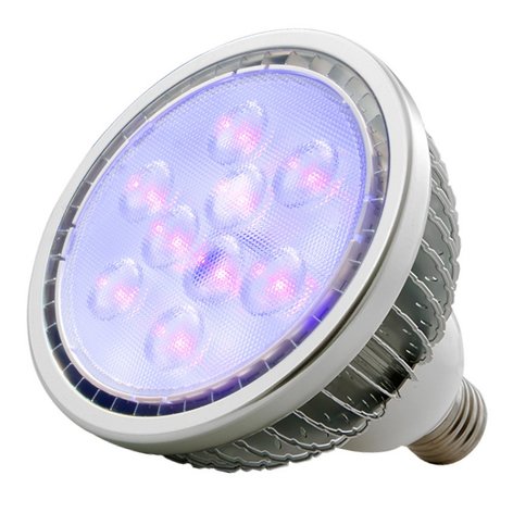 ADJ BLB18W 18W UV Par 38 Lamp with E27 Screw Base BLB18W
