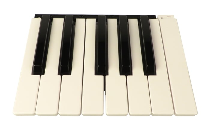 Korg 510646502086 Bank Of 13 Keys For Pa500