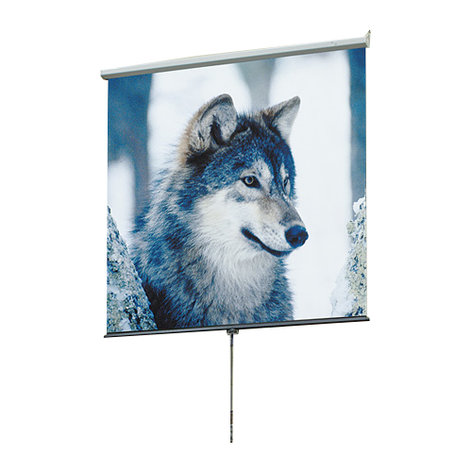 Draper Shade and Screen 207092 Luma 73" HDTV Matt White Manual Projection Screen 207092