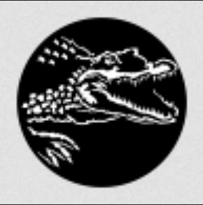 Apollo Design Technology MS-4141 Africa Crocodile Steel Gobo MS-4141
