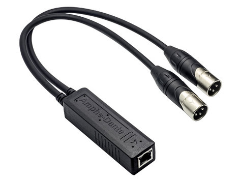 Amphenol RJD1212-0050 2 channel Dante output interface, XLR (M) RJD1212-0050