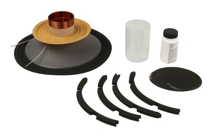 EAW-Eastern Acoustic Wrks 2040829 Recone Kit for JFL210 2040829
