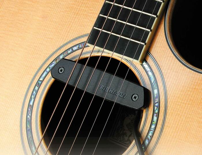 Fishman PRO-NEO-D01 Neo-D Passive Soundhole Pickup, Single Coil PRO-NEO-D01