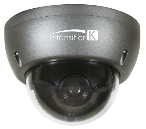 Speco Technologies HTINT59K 2.8-12 Mm Indoor Or Outdoor Dome Camera