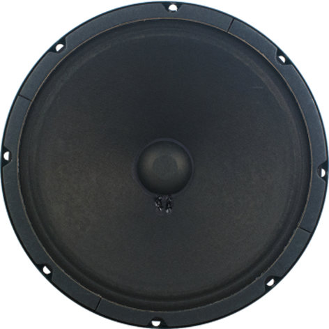 Jensen Loudspeakers P-A-P10Q 10" 40W Vintage Alnico Series Speaker