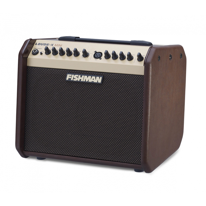 Fishman Loudbox Mini 2-Ch 60W Acoustic Guitar Amplifier PRO-LBX-500
