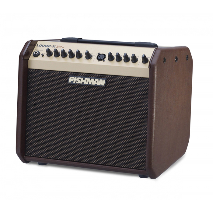 Fishman PRO-LBX-500 Loudbox Mini 2-Ch 60W Acoustic Guitar Amplifier