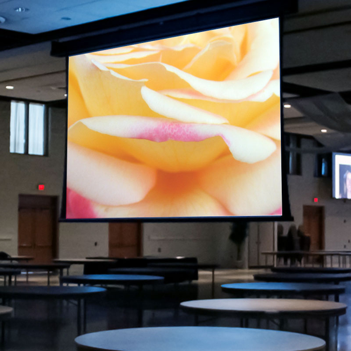 Draper Shade and Screen 114617 278" Paragon V Series 110 V Electric Projection Screen 114617
