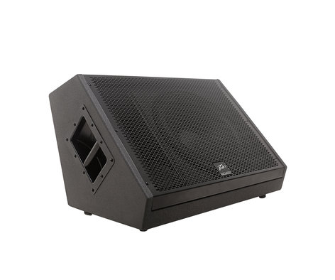 Peavey SP12M 2-Way Floor Monitor with BWX Black Widow Woofer SP12M