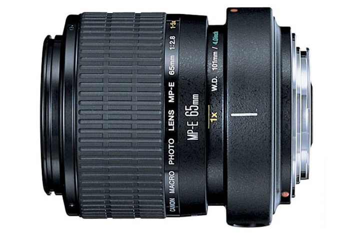 Canon MP-E 65mm f/2.8 1-5x Macro Photo Lens